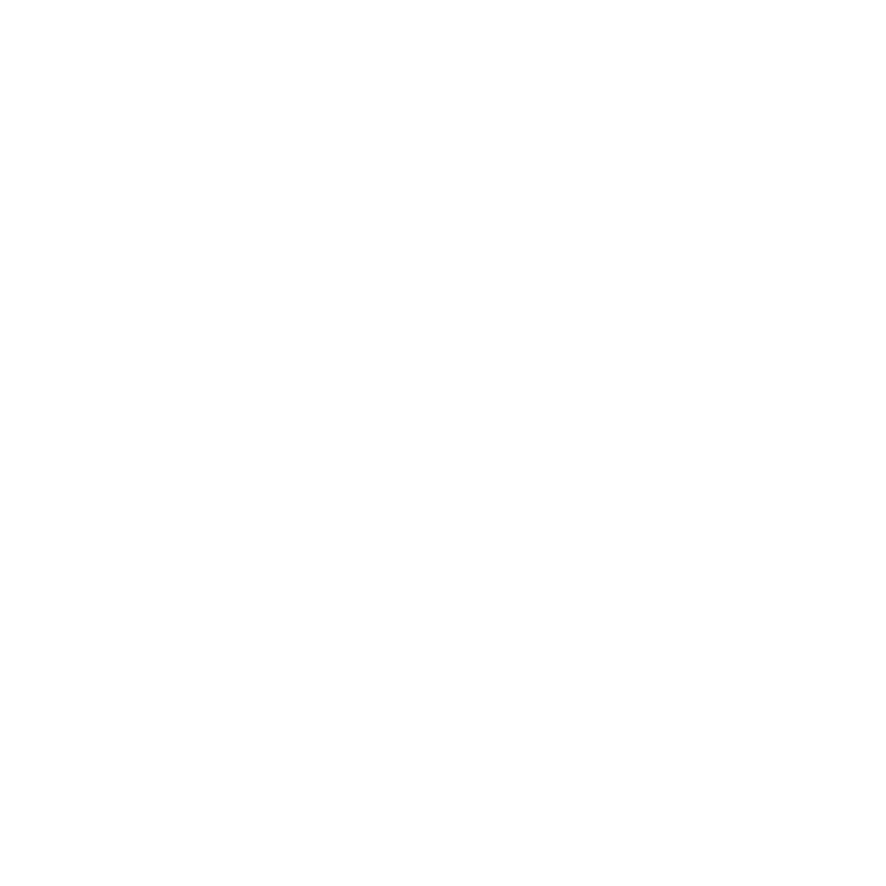 web experts